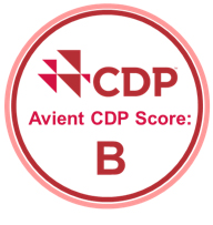 CDP 徽标